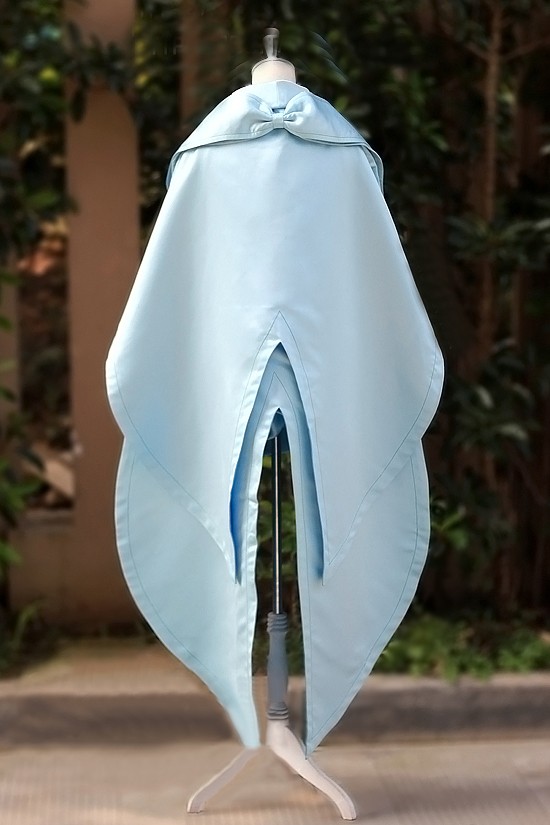 佳能
