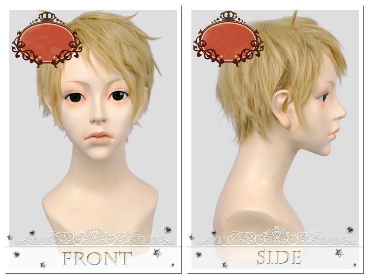 送料無料！ cosplay 境界の彼方　神原秋人（かんばら あきひと）　コスプレウイッグ