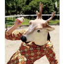 http://gxfh8v7a6vpzxuihvc0vb6z3x4j6.oss-us-east-1.aliyuncs.com/file_name_5956.jpg